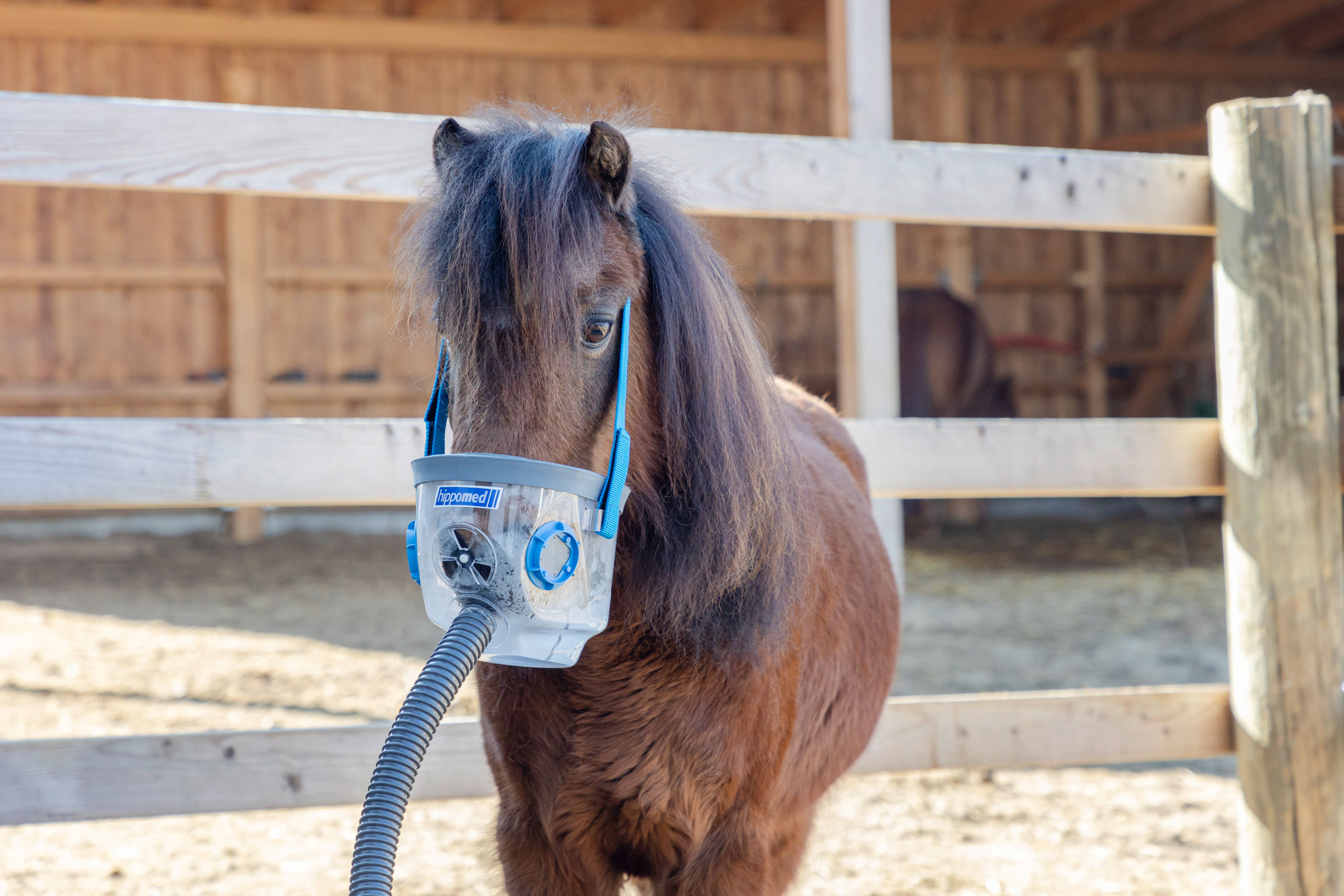 Atemmaske Gr. PONY komplett mit Zubehör für Hippomed Ultraschall-Inhalator Air One