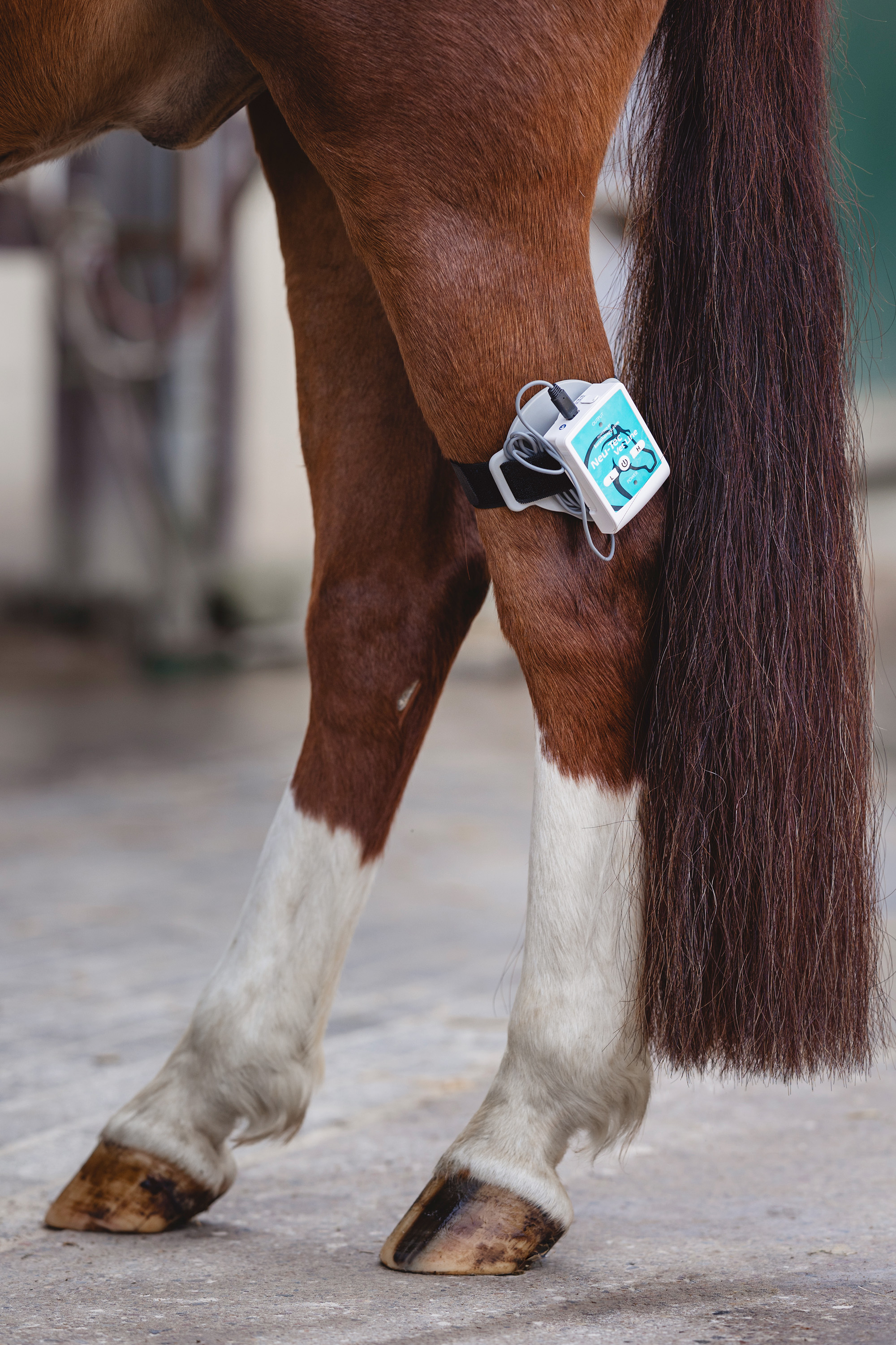 Neu-Tec Vet Line "Equi Ortho Quick"