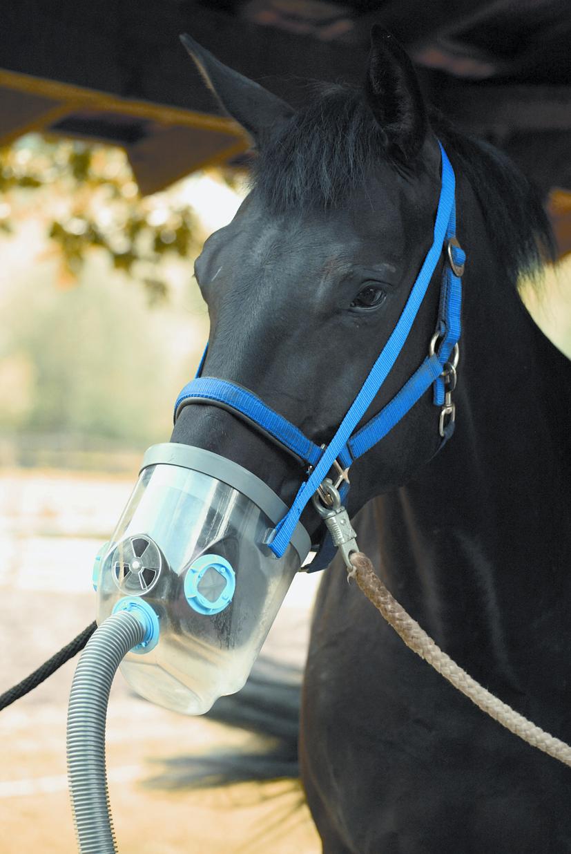 Miete Air One Strom mit Zubehör (Leihgerät)