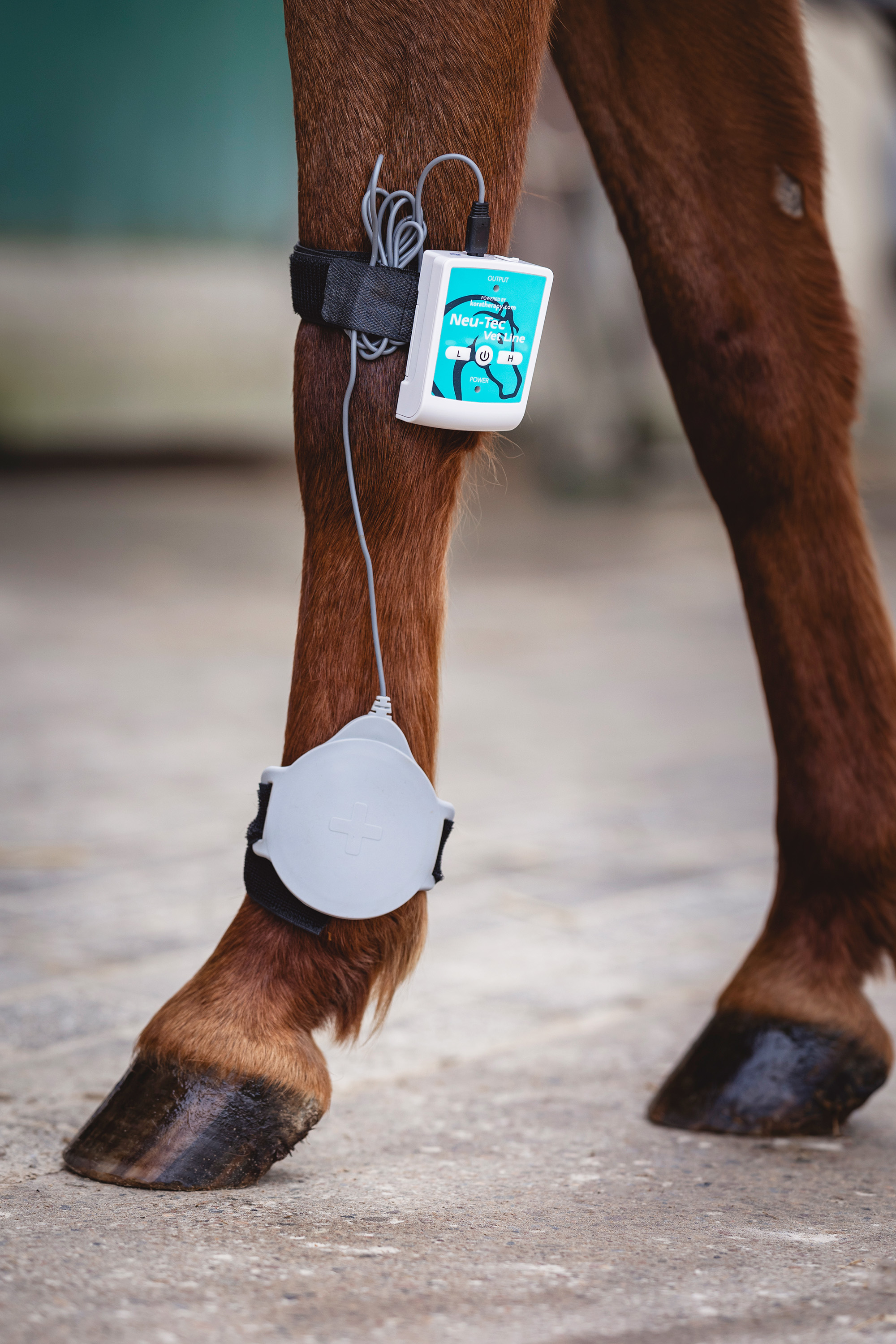 Neu-Tec Vet-Line "Ortho Quick"