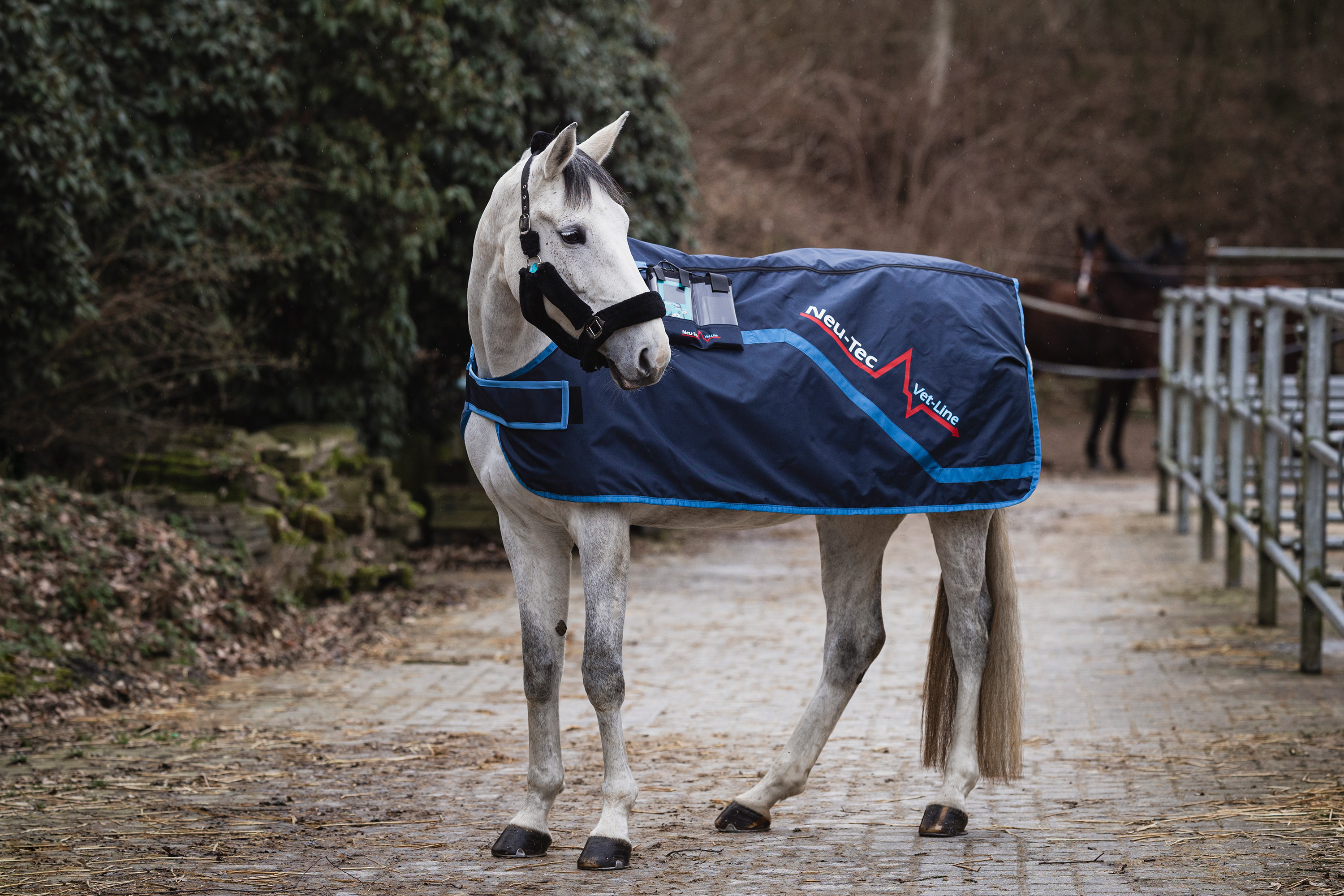 Neu-Tec Vet-Line "Equi" mit PEMF Impuls