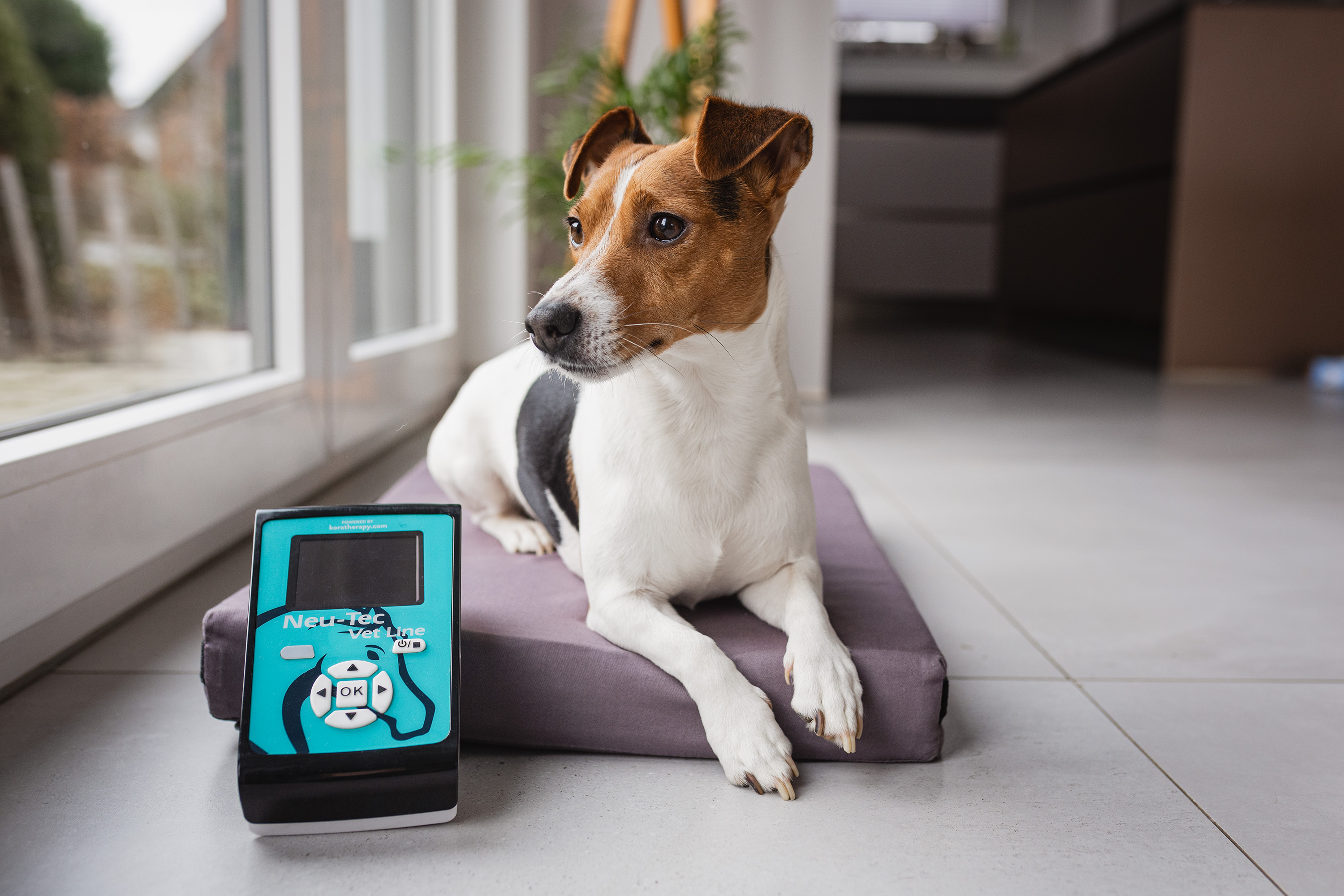 Neu-Tec Vet-Line "Pet"