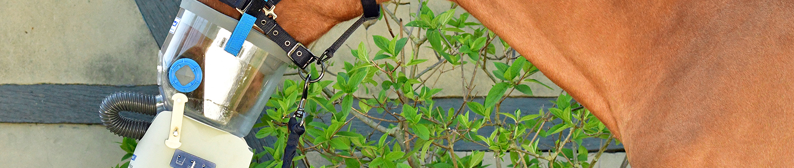 Inhalatoren_Headerbild