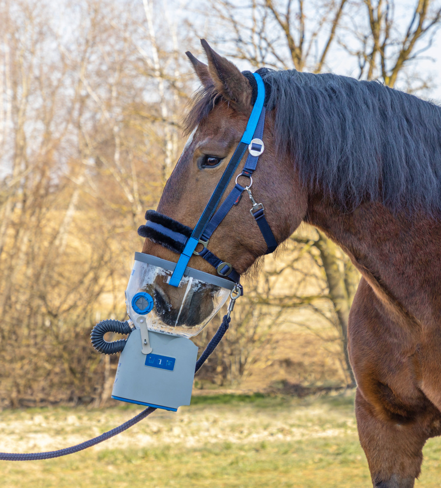 Air One Flex Gr. KALTBLUT Hippomed Ultraschall-Inhalator Komplettset mit Zubehör